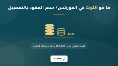 ما هو اللوت في الفوركس؟ دليل حجم العقود للمبتدئين
