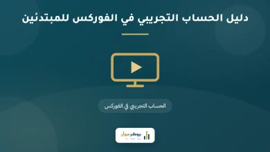 دليل الحساب التجريبي في الفوركس للمبتدئين
