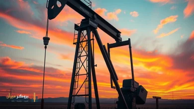 خام تكساس WTI يستقر فوق 95.50 دولاراً